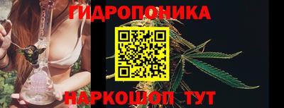 стаф Тверь